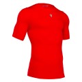 915902.jpg